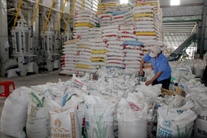 Cơ hội để doanh nghiệp xuất khẩu gạo sang thị trường Hàn Quốc