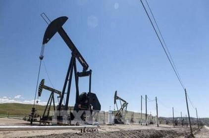 Giá dầu châu Á chiều 1/9 phục hồi do ảnh hưởng của tình hình ở Afghanistan