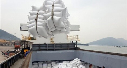 Xuất khẩu gạo châu Á gặp khó do cước vận chuyển tăng cao