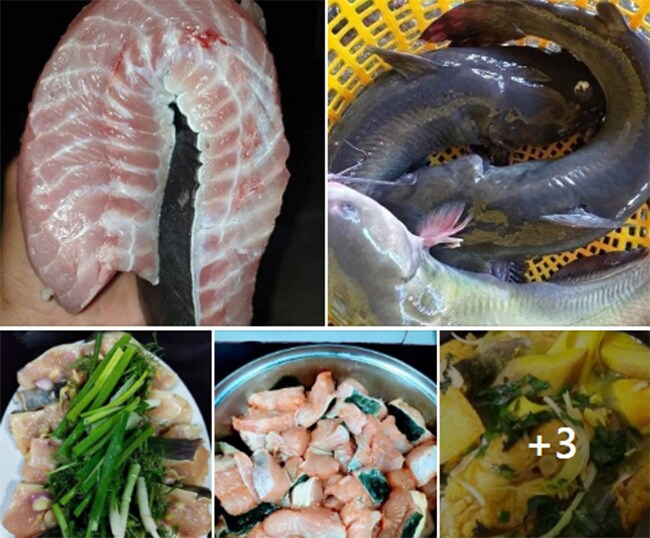 Loại cá đặc sản từng tiến Vua ở Việt Nam đang được bán với giá siêu rẻ, chỉ 85.000 đồng/kg