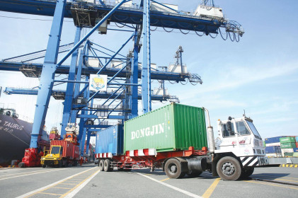 Xuất khẩu trông vào... chống dịch
