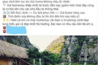 Tháo chạy khỏi homestay, đại gia ‘đứt ruột’ cắt lỗ sâu hàng tỷ đồng