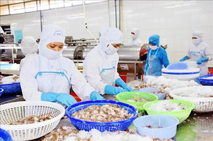 Khoảng 40% doanh nghiệp thủy sản có khả năng hồi phục sản xuất sau giãn cách