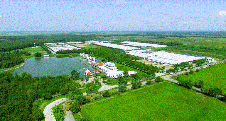 Vinamilk - Đại diện duy nhất của ASEAN "phủ sóng" 4 Bảng xếp hạng Toàn cầu về Thương hiệu 2021