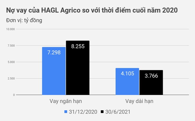 Các ngân hàng vẫn 'đau đầu' với HAGL Agrico