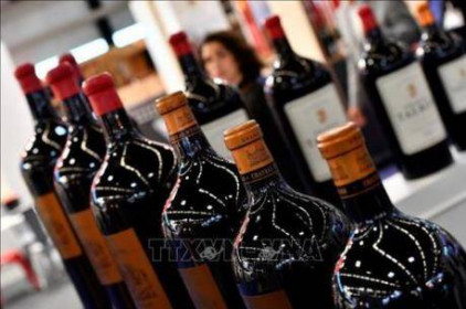 Sản lượng rượu vang của Pháp sẽ giảm xuống mức thấp kỷ lục