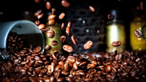 Giá cà phê hôm nay 9/9: Hai sàn cùng quay đầu đi xuống, xuất khẩu robusta giảm sâu tại phần lớn các thị trường