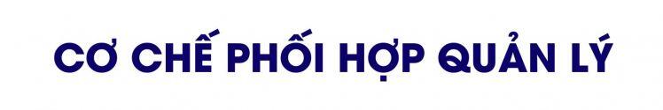 Không để hãng tàu “bắt chẹt” giá cước