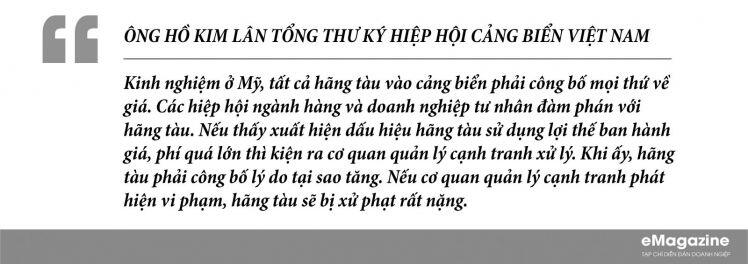 Không để hãng tàu “bắt chẹt” giá cước