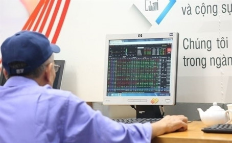 Nhà đầu tư có thể nắm giữ tỉ trọng cổ phiếu cao trong danh mục