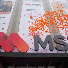 May - Diêm Sài Gòn bán thành công 5 triệu cổ phiếu MSB với giá 135 tỷ đồng