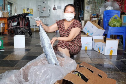 Hàng nghìn tấn tôm, cá ế đầy kho: chủ hàng lao đao lo phá sản