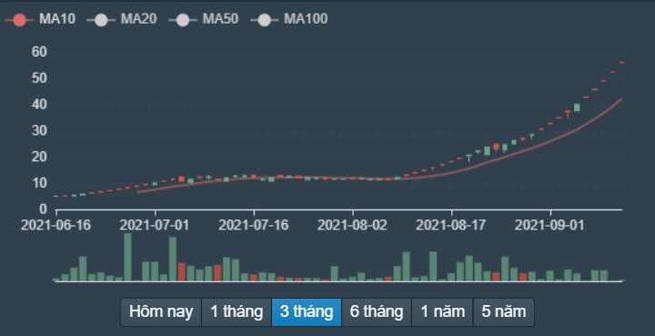 Thấy gì từ 'cơn điên' của dòng tiền?