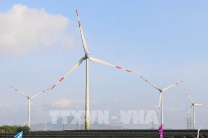 Đưa vào vận hành thương mại Dự án Điện gió số 5 - Ninh Thuận