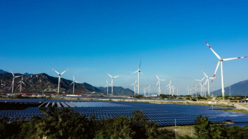 Nhà đầu tư điện mặt trời và điện gió “kêu cứu” vì lâm nguy