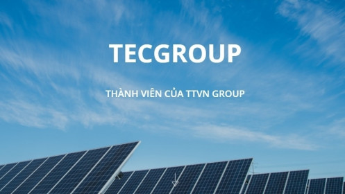 Nợ bất ngờ tăng cao, TECGroup muốn chào bán 10 triệu cổ phần ra công chúng