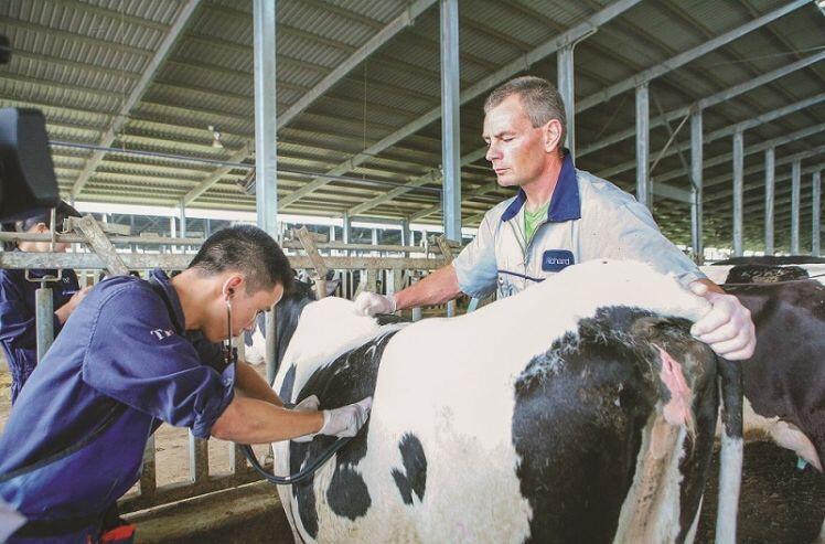 Cụm trang trại bò sữa đạt kỷ lục thế giới tại Việt Nam dưới góc nhìn của chuyên gia quốc tế