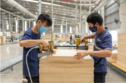 Hòa Phát không M&A, không tham gia quản trị công ty sản xuất ván tre gỗ ép