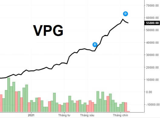 VPG dự kiến chào bán 30 triệu cổ phiếu với giá chưa bằng 1/3 thị giá trên sàn