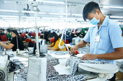 Doanh nghiệp kỳ vọng tích cực vào quý IV
