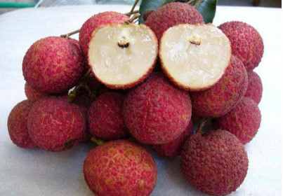 5 loại trái cây không hạt làm mưa làm gió trên thị trường