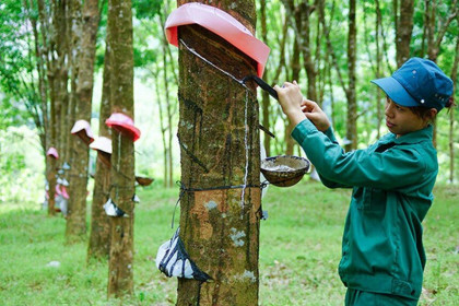 Cổ phiếu cần quan tâm ngày 5/10: GVR, LPB