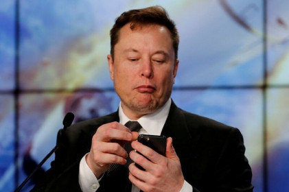 Shiba Inu (SHIB) tăng 85% nhờ Elon Musk đăng ảnh chú chó ngồi trên Tesla