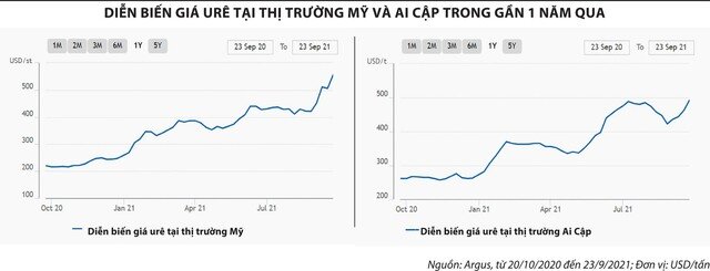 Cổ phiếu phân bón vào sóng