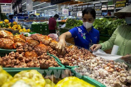 Kiên Giang kết nối tiêu thụ hơn 1,2 triệu tấn nông sản cho dân