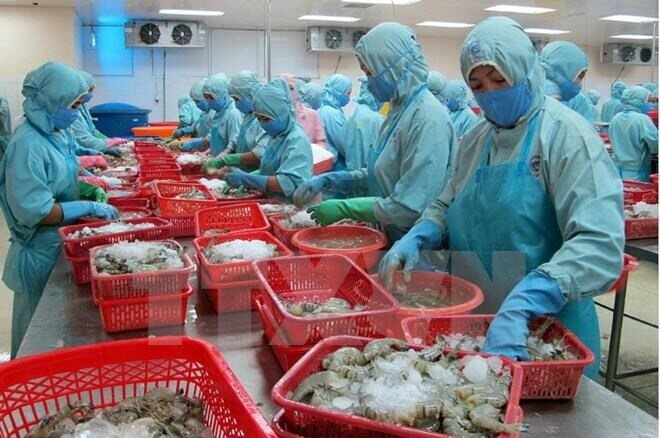 Tăng tốc để xuất khẩu về đích