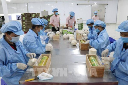 Nga tăng nhập khẩu rau quả chế biến từ Việt Nam