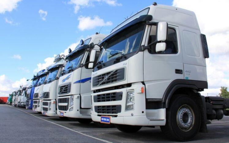 Nông dân Anh đổ đi hàng chục nghìn lít sữa vì thiếu tài xế xe tải