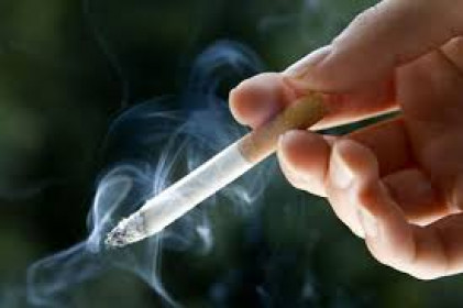 Giải ngân chậm, Quỹ Phòng chống tác hại của thuốc lá kết dư hơn 1.000 tỷ