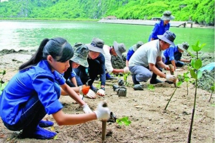 ADB sẽ nâng tài trợ khí hậu lên 100 tỷ USD
