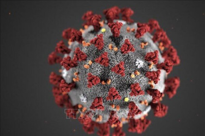 Thụy Sĩ phát hiện siêu kháng thể chống virus SARS-CoV-2