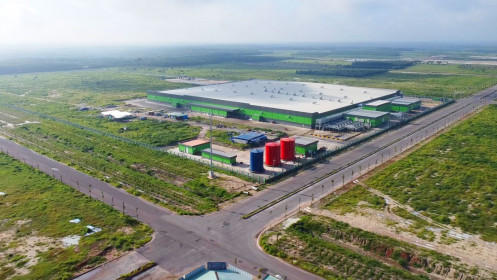 Tập đoàn FMCG Thổ Nhĩ Kỳ chọn Việt Nam là nơi sản xuất tã cho Đông Nam Á