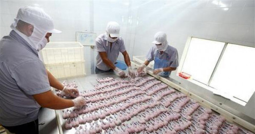 Phát hiện nhiều lô hàng nông, thủy sản Việt Nam vi phạm chất cấm của EU