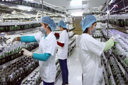 Doanh nghiệp FDI "kêu cứu": Tiền Giang mong muốn doanh nghiệp sản xuất trong sự an toàn!