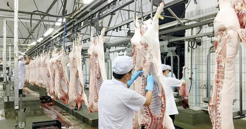 Giá lợn hơi giảm kỷ lục, Phó Thủ tướng yêu cầu làm rõ chi phí từng khâu