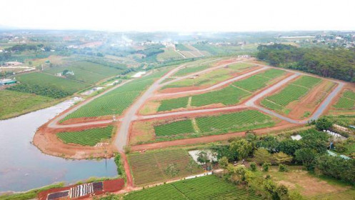 Giao cơ quan điều tra việc hiến đất để phân lô, bán nền trá hình ở Lâm Đồng