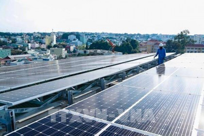HBC hợp tác cùng doanh nghiệp Scotland phát triển năng lượng mặt trời