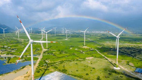 Covid-19 khiến điện gió Việt Nam có thể “mất điểm” với FDI