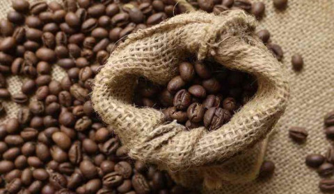 Giá cà phê xuất khẩu “lập đỉnh” cao nhất trong 4 năm trở lại đây