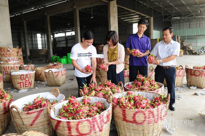 Đẩy mạnh xúc tiến thương mại trên nền tảng số, mở rộng cơ hội thị trường cho hàng Việt