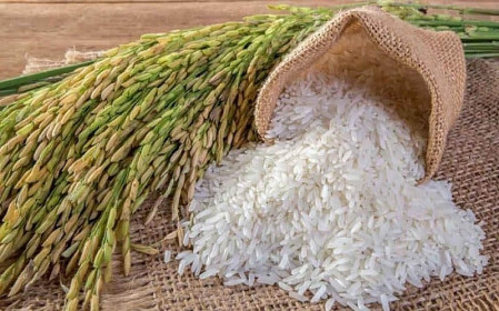 Giá lúa gạo hôm nay 26/10: Giá lúa đồng loạt tăng 100 đồng
