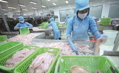 Thủy sản đón sóng phục hồi