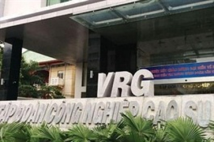 GVR báo lãi ròng quý 3 tăng 26% dù doanh thu gần như đi ngang