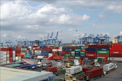 Tân cảng Cát Lái sẵn sàng phục vụ các hãng tàu và khách hàng