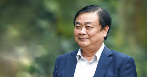 ‘Ảo tưởng nông sản Việt chiếm lĩnh thị trường thế giới là không đúng’