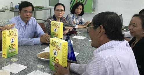 Gạo thơm Việt Nam sẽ mất cơ hội thi 'Gạo ngon nhất thế giới'?